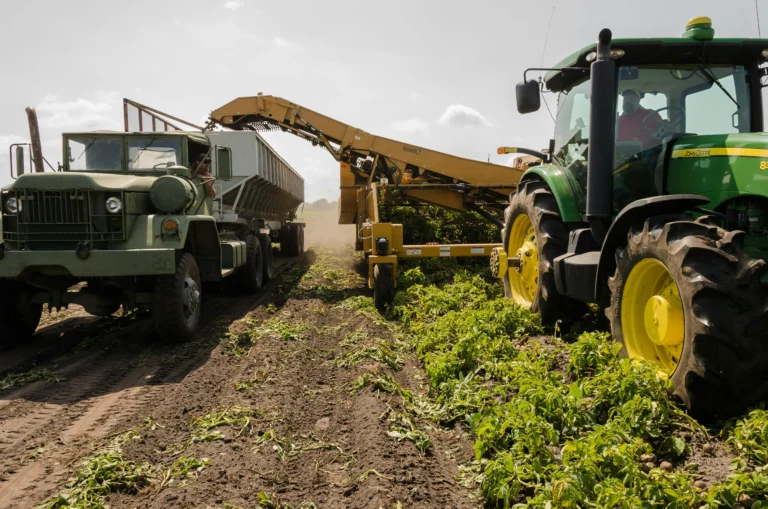 Tractor pouring crop yield into farm machinery. Used to significantly using a carport or metal building for agricultural or farm storage to avoid permits and paying taxes or reducing taxable costs associated with purchasing a structure.